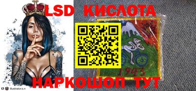 Альфа ПВП Новодвинск