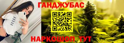 тгк Новокубанск