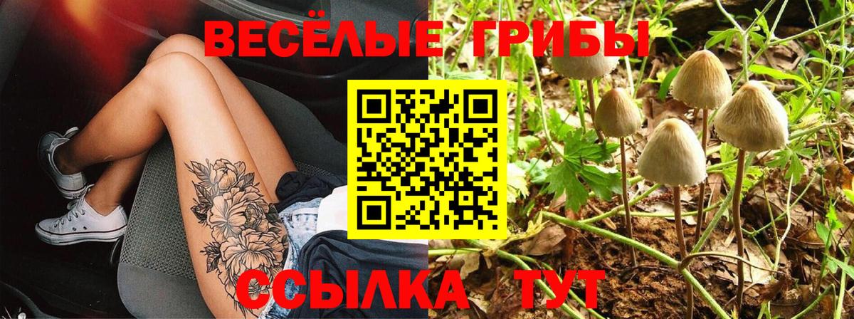 Сызрань  Псилоцибиновые грибы Magic Shrooms  Вход с VPN 